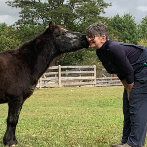 A horse giving a kiss to a person